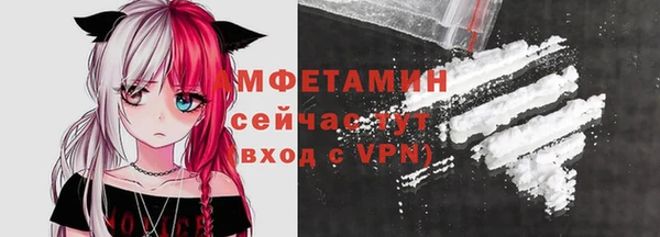 крисы Туринск