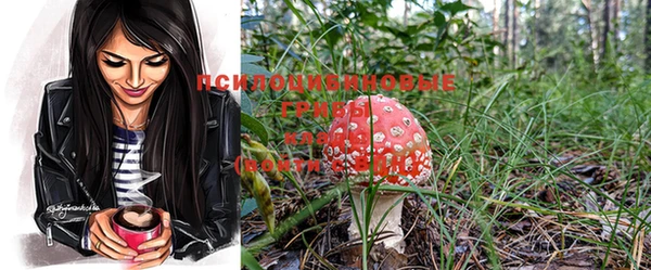 марки nbome Богданович