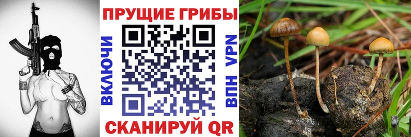 Псилоцибиновые грибы GOLDEN TEACHER  Яранск 